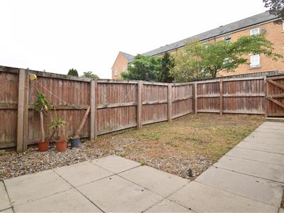 Picture 20